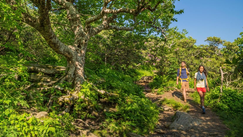 Two people hike on a trail through Craggy Gardens in Asheville