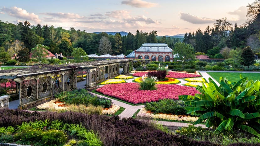 Biltmore Estate's walled garden in Summer