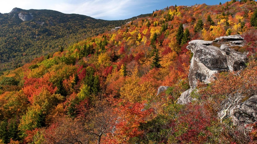 Top 10 Eco-Friendly Ways to Experience Fall in Asheville