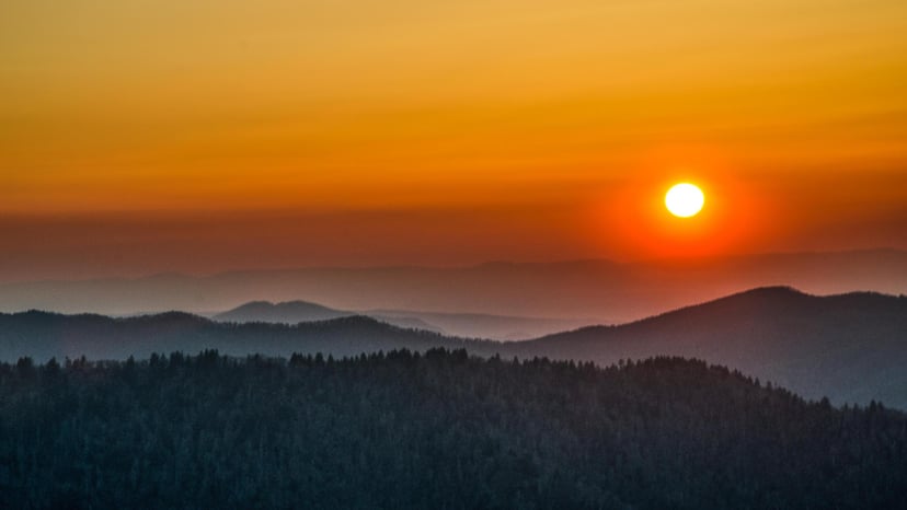 Day Trip: Exploring the Great Smoky Mountains National Park