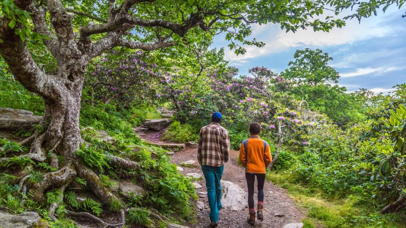 Hiking at Craggy Pinnacle by Jared Kay