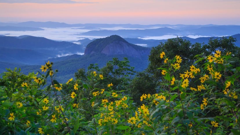 Looking Glass Rock with wildflowers