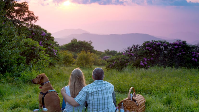 Two people and a dog sit on a picnic blanket overlooking a beautiful mountain sunset near Asheville