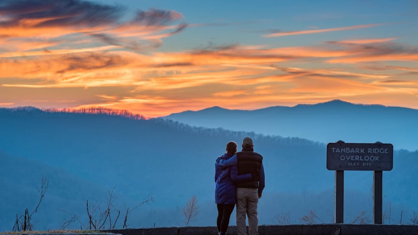 Tanbark Ridge Overlook / Photo: Emily Chaplin