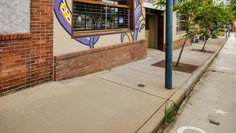 Octopus Garden - "Twisted Tentacles"