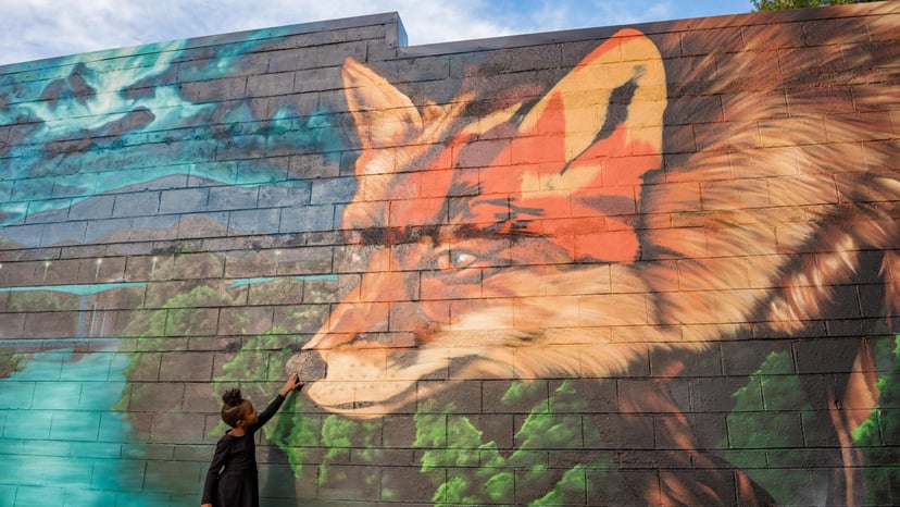 The Best of the West: An Insider’s Guide to West Asheville, NC