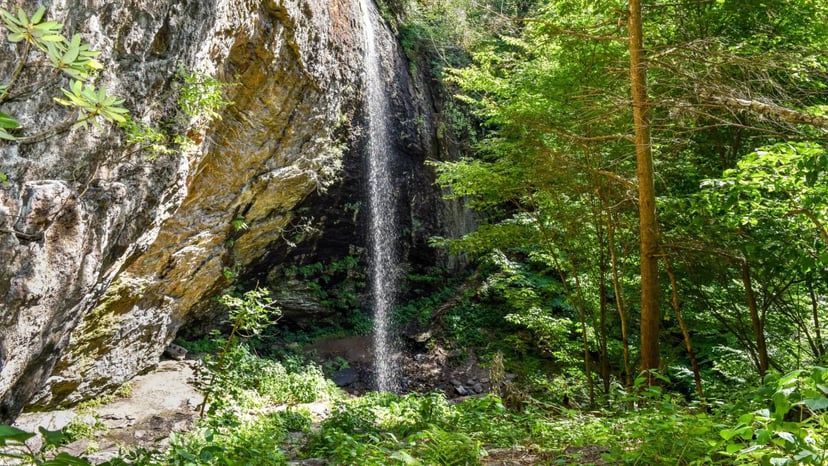 Douglas Falls Hike Asheville