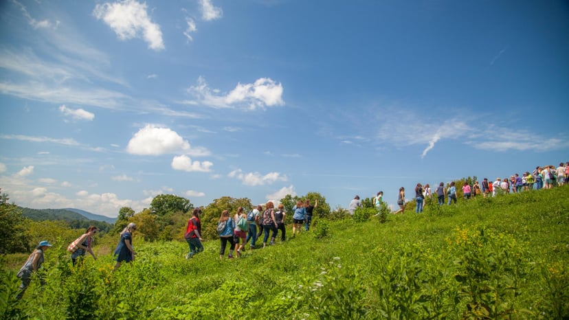 Hickory Nut Gap Farm in Fairview / Photo: Derek Misler