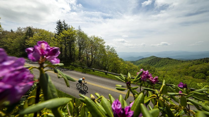 Road cycling on the Blue Ridge Parkway / Photo: Derek Diluzio