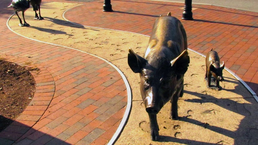 Asheville Urban Trail - Crossroads