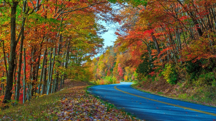 Fall on the Blue Ridge Parkway by Jared Kay