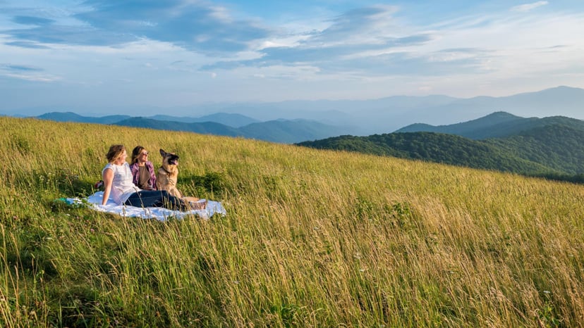 Two women and a dog picnic on Max Patch / Photo: Emily Chaplin