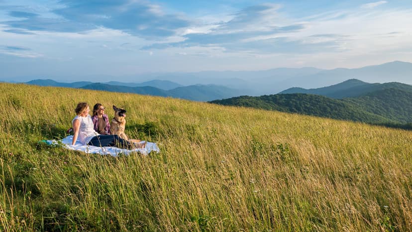 Mountain Balds Near Asheville, NC