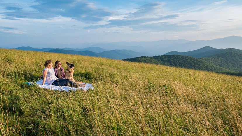 Mountain Balds Near Asheville, NC