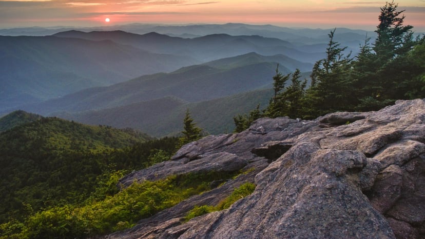 Deep Gap Trail at Mount Mitchell State Park