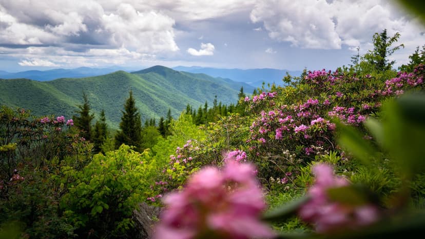 Mountains-to-Sea Trail near Mount Mitchell / Photo: J Smilanic