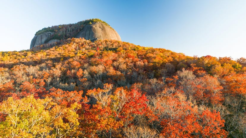 Looking Glass Rock / Photo: Authentic Asheville