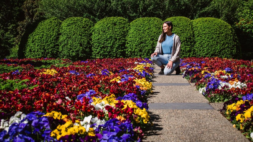 NC Arboretum / Photo: Stephan Pruitt