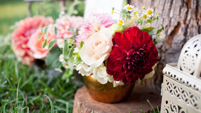 CURVE Garden by Jennifer Callahan