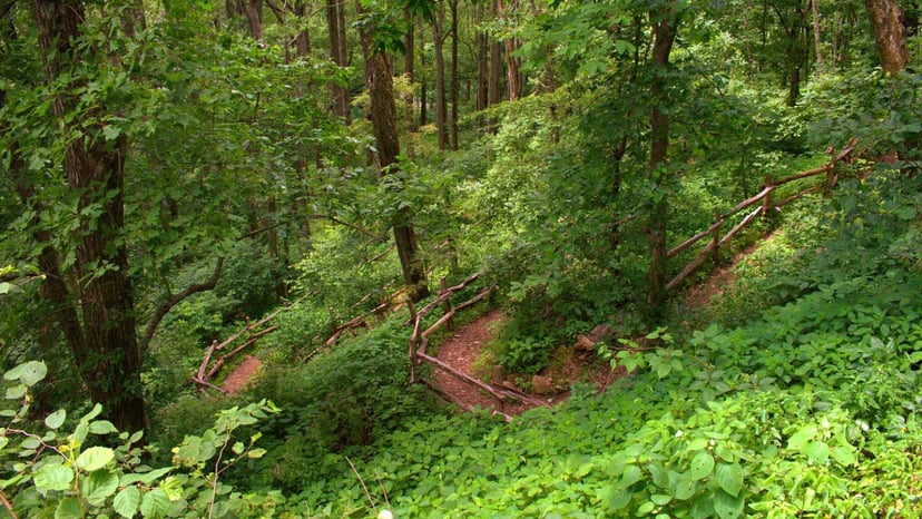 Rattlesnake Lodge Trail