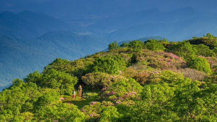 Craggy Gardens hiking / Photo: Jared Kay