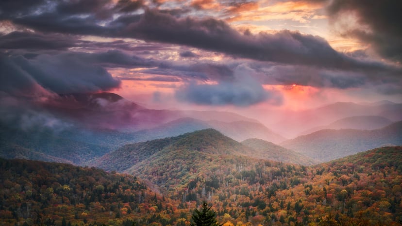 Love Asheville From Afar