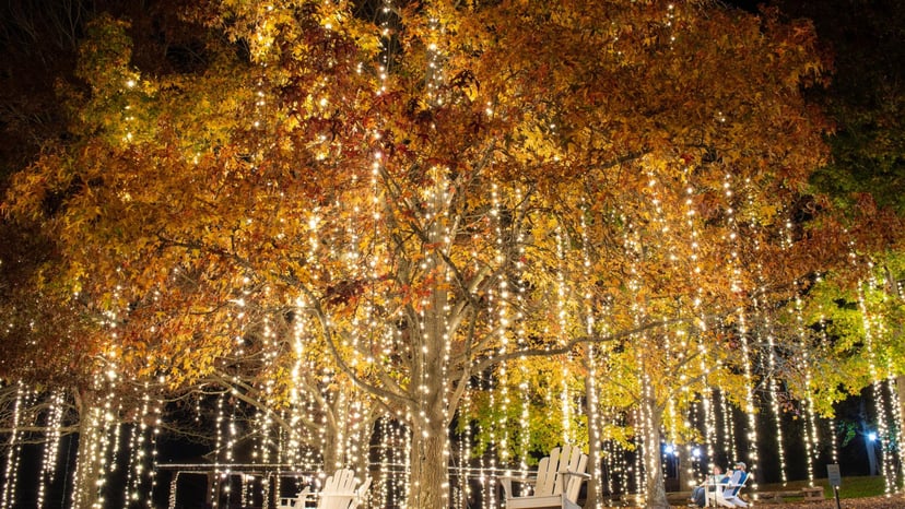 Christmas at Biltmore