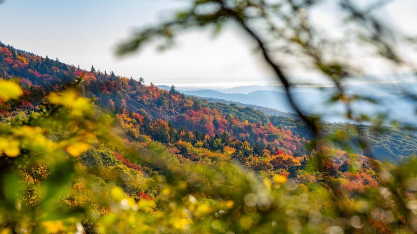 The Blue Ridge Mountains in fall / Photo: Leslie Restivo