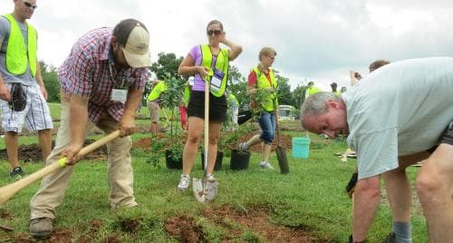 Community Service - Rocks Community Service - Rocks
